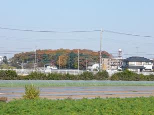 a0050728_2391444.jpg