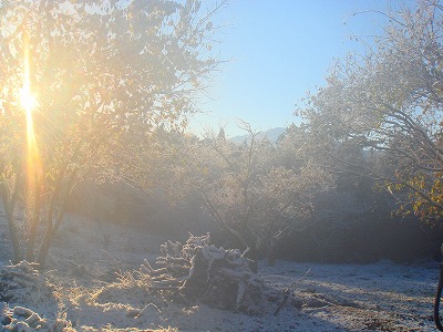 b0147630_213239.jpg