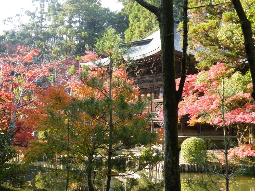 平安の旅～京都_f0153932_1955019.jpg