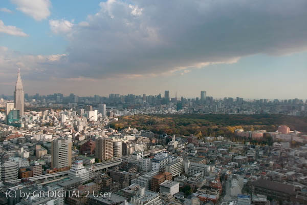 e0130134_252178.jpg