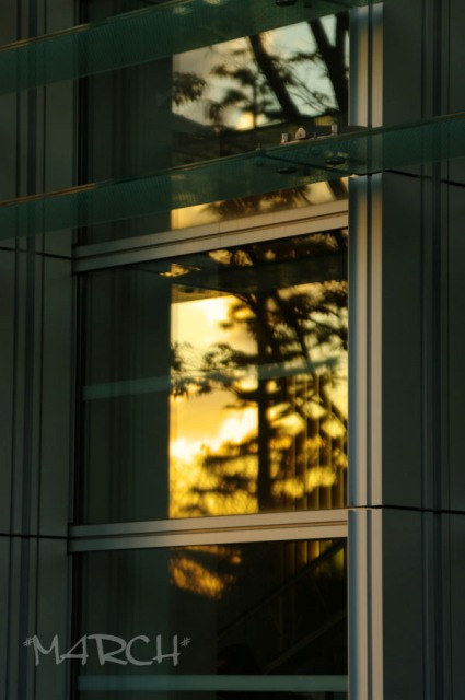 e0146037_23205135.jpg