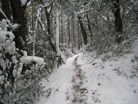 c0077338_21563314.jpg