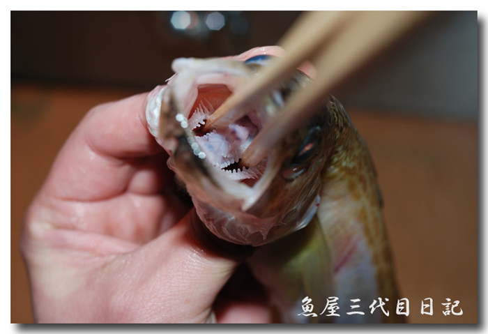 魚の捌き方 つぼ抜き です ハタハタ 鰰 を捌いてみました 魚屋三代目日記