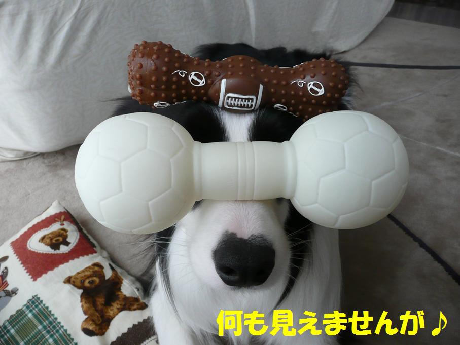 c0147241_19184243.jpg