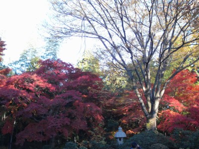 c0119142_2042918.jpg