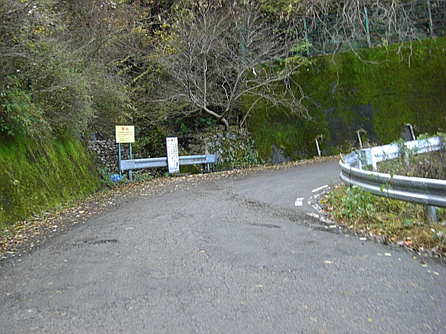 b0088444_012582.jpg