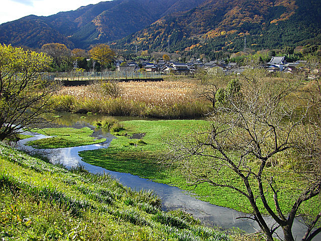 b0088444_0301459.jpg