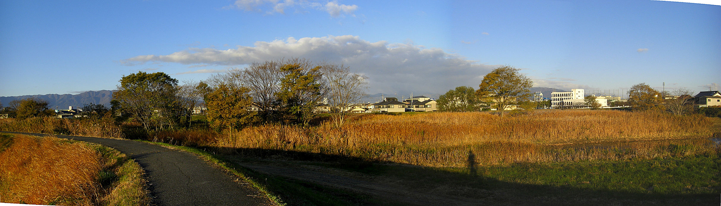 津屋川 二之瀬_b0088444_21282449.jpg