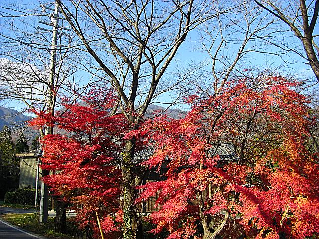 津屋川 二之瀬_b0088444_2215862.jpg