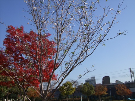 b0060646_169123.jpg