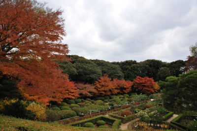 紅葉狩＠庭園_e0138546_19352976.jpg