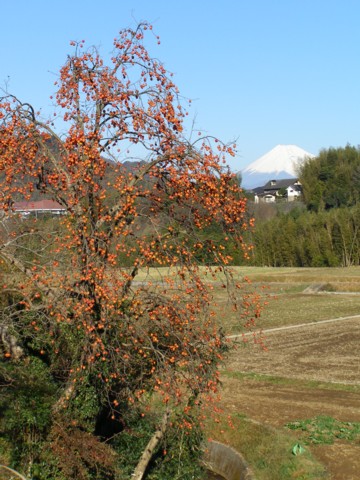 f0043750_173911100.jpg