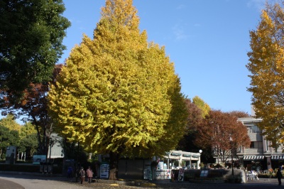 c0118352_3175621.jpg