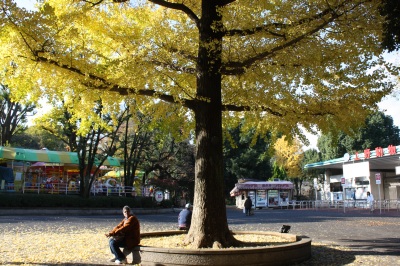 c0118352_3192095.jpg