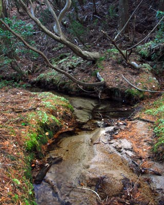 e0035757_12173867.jpg