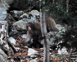 e0035757_1253664.jpg