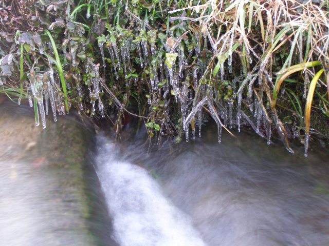 d0125059_20384720.jpg