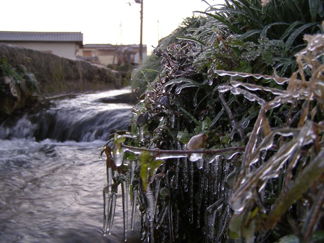 d0125059_20405055.jpg