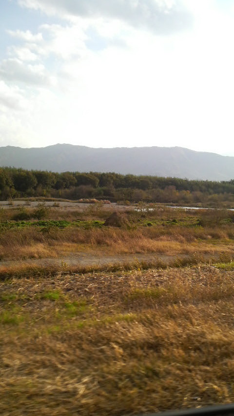 c0147261_1134422.jpg