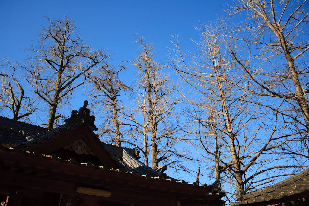 b0032262_17587.jpg