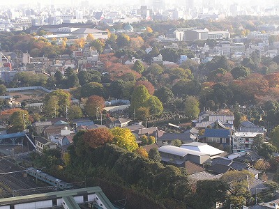 b0145863_1219592.jpg