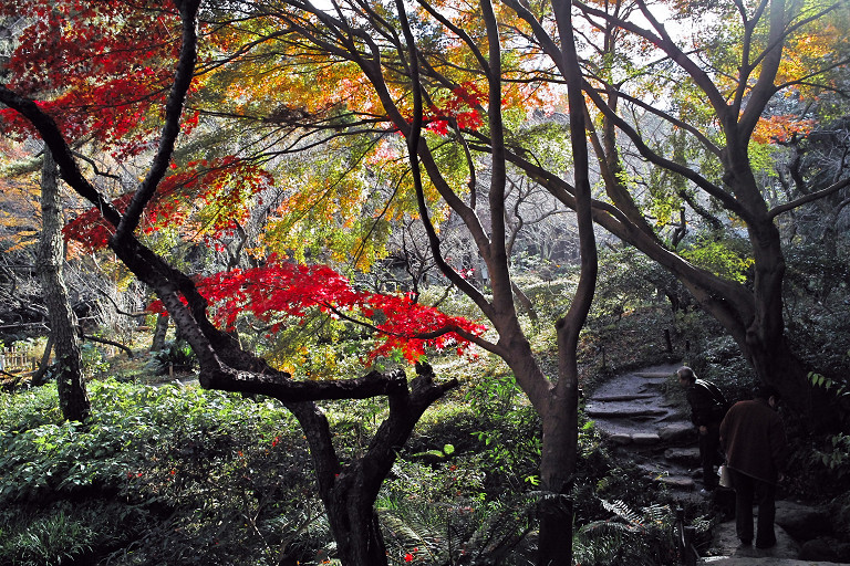 三渓園（１２月６日）_c0057265_8475154.jpg