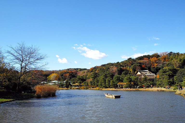 三渓園（１２月６日）_c0057265_8484152.jpg