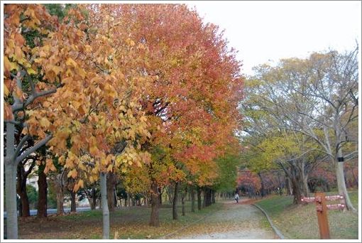 暖かかった日の公園散策～12月4日_a0058167_1514523.jpg