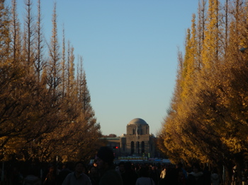 a0083571_23542614.jpg