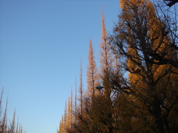 a0083571_23544838.jpg