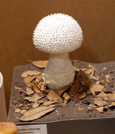 a0061977_1825986.jpg