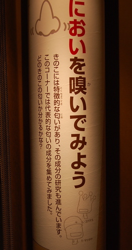 a0061977_1845468.jpg