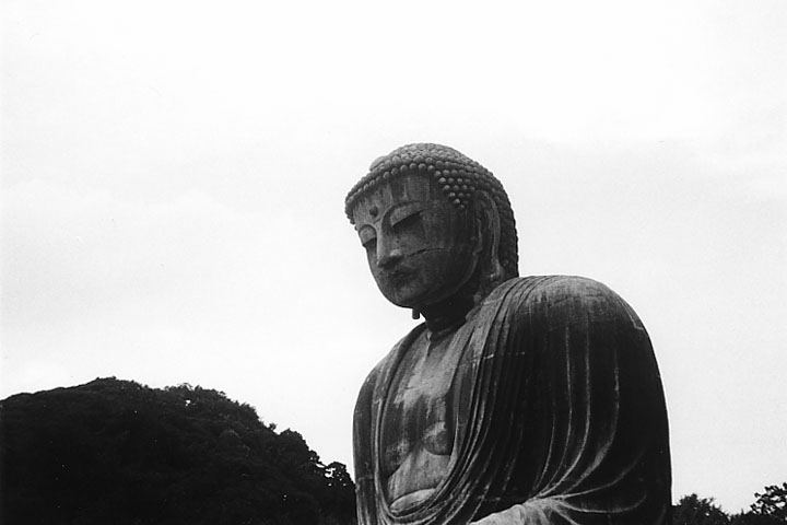 d0044379_1756023.jpg