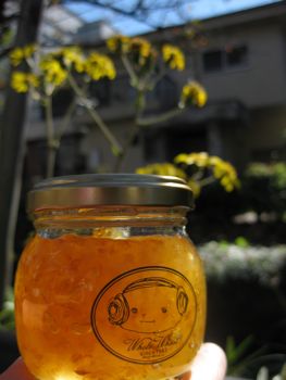 page d-120　　　　　　      Jam web!_a0028990_2173488.jpg