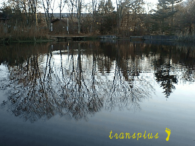 b0031493_14174613.gif