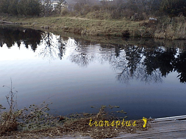 b0031493_143958100.gif