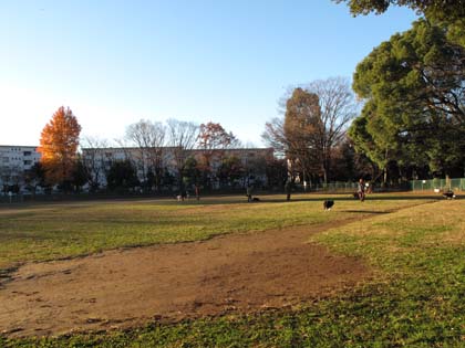 f0114893_17372430.jpg
