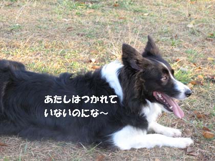 f0114893_17401735.jpg