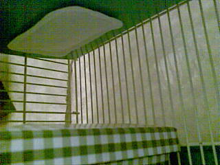 e0155496_031657.jpg