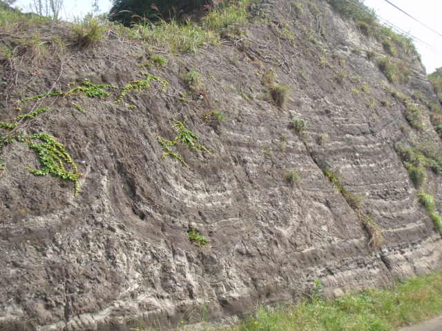 c0008598_1442942.jpg