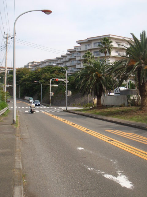c0008598_1465924.jpg