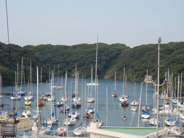 c0008598_1495864.jpg