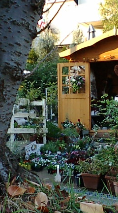 c0152002_17383214.jpg