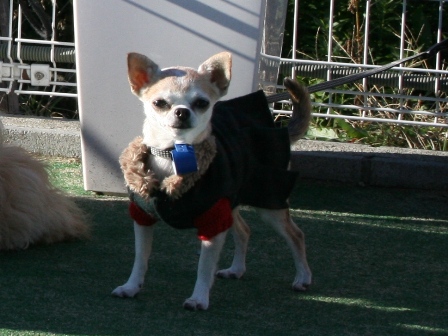 c0128303_14292999.jpg
