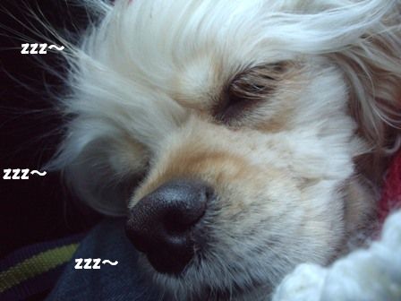 c0128303_15182970.jpg