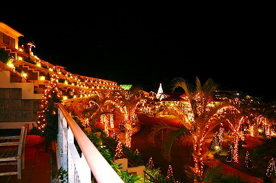 d0137903_20503992.jpg