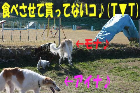 e0100007_22113357.jpg
