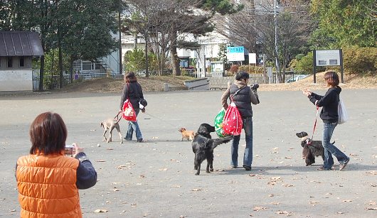                                                       東部熟女連合？横浜へ～♪_c0097309_22101547.jpg