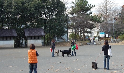                                                       東部熟女連合？横浜へ～♪_c0097309_22105146.jpg