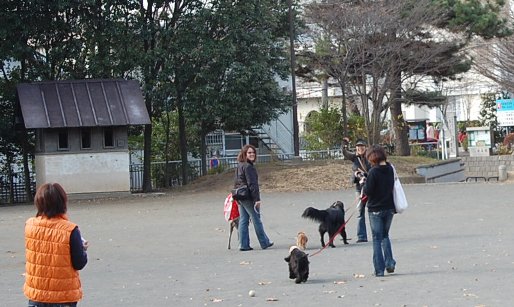                                                       東部熟女連合？横浜へ～♪_c0097309_22113426.jpg